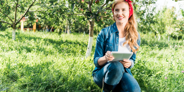 Ландшафтный дизайн и садово-парковое строительство Ландшафтный дизайн и садово-парковое строительство